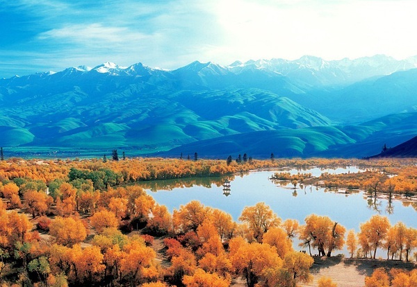 探寻新疆小巷深处的秘境小店，惊喜之旅！